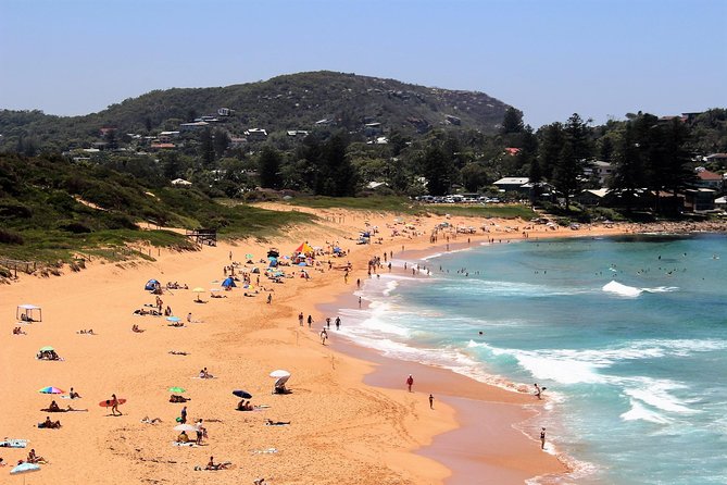 Private tour of Ku-Ring-Gai National Park and Northern Beaches - Ferry endgame: the one part you need to pay for yourself