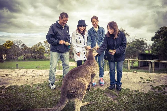 [Private Tour] “Penguin Parade” Phillip Island Tour. - How to Plan Lunch and Dinner So You Don’t Waste Time