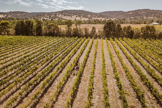 Private Tour: Premium Swan Valley Wine Tour from Perth - The Warm Start: How the Day Kicks Off in Real-Life Order