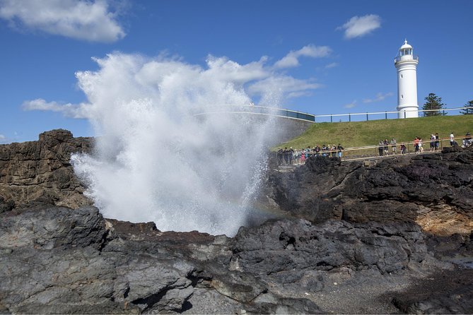 Private Tour: Sydney South Coast & Highlands - Why a private SUV makes the Sydney South Coast feel doable