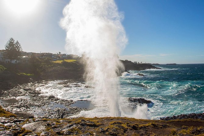 Private Tour: Sydney South Coast & Highlands - Kangaroo Valley via Hampden Bridge, then Fitzroy Falls in the Southern Highlands