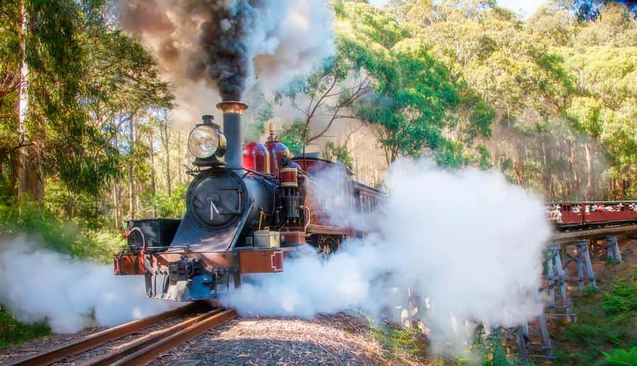 Private Tour to Dandenong Ranges & Puffing Billy Steam Train - A Private Dandenong Day That Mixes Icon + Nature