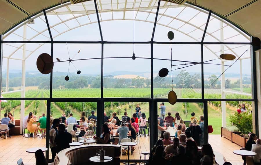Private Tour: Yarra Valley Wine, Cheese, Gin & Chocolatrie - Lunch and pairings: where the day slows down (on purpose)