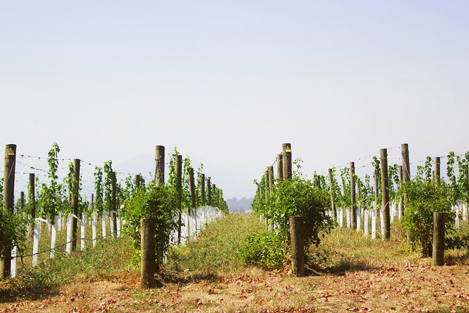 Private Tour: Yarra Valley Wineries with Wine Tastings - Entering Yarra Valley the easy way: pickup, drive, and real time