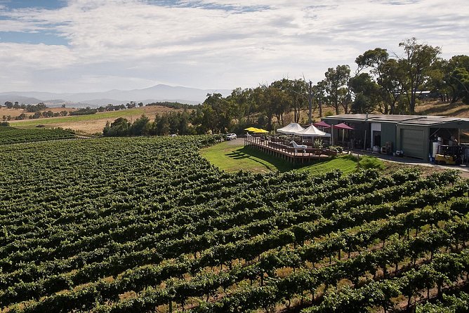 Private Tour: Yarra Valley Wineries with Wine Tastings - What you’re really tasting in the Yarra Valley (beyond the label)