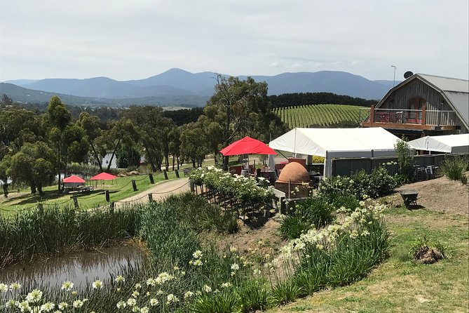 [PRIVATE TOUR] Yarra Valley Winery | Day Tour - Key highlights worth your attention