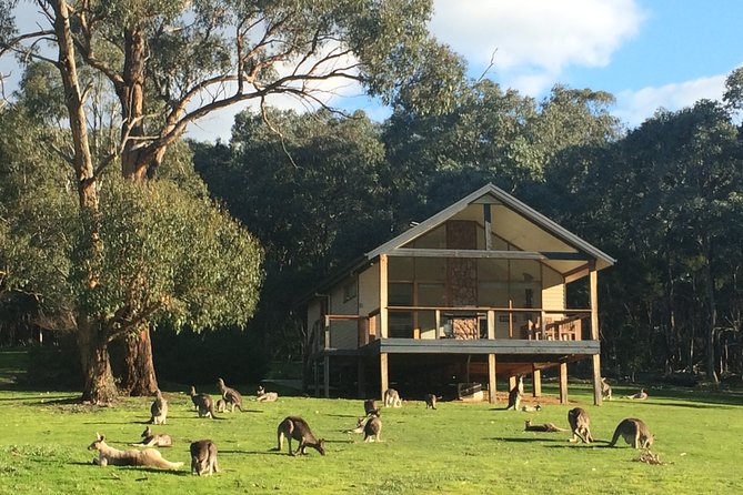 [PRIVATE TOUR] Yarra Valley Winery | Day Tour - Stop-by-stop: what each winery or distillery brings