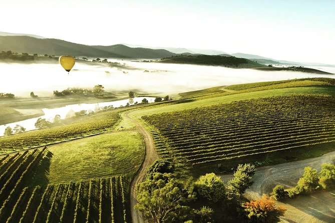 [PRIVATE TOUR] Yarra Valley Winery | Day Tour - Guides make the difference: Alex, Francois, Jessica, and Julie