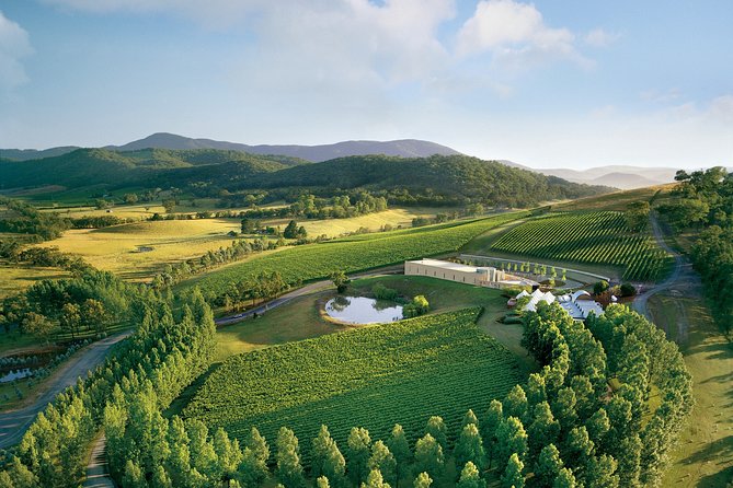 [PRIVATE TOUR] Yarra Valley Winery | Day Tour - Who this tour is best for (and who should skip it)