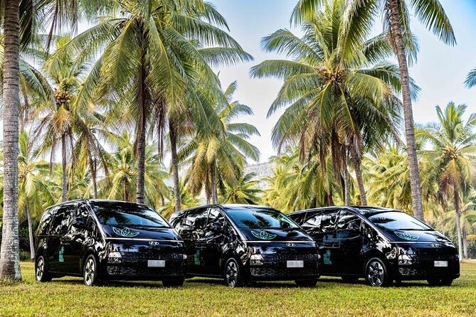 PRIVATE TRANSFER Cairns Airport <> Port Douglas Minibus (6am-5pm) - The 35-Minute Scenic Route and the Rex Lookout Photo Stop