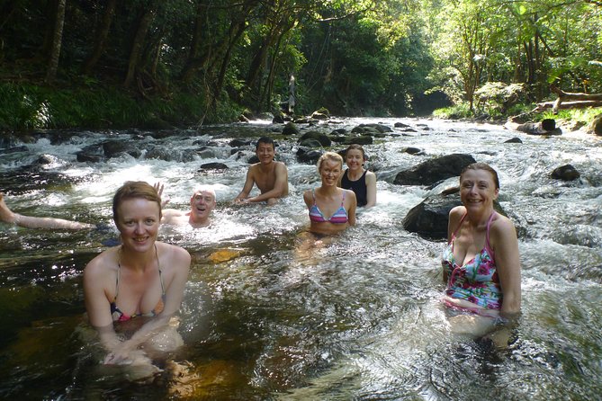 PRIVATE TRANSFER Cairns Airport <> Port Douglas Minibus (6am-5pm) - Comfort, Luggage, and Kids: What to Watch Before You Go