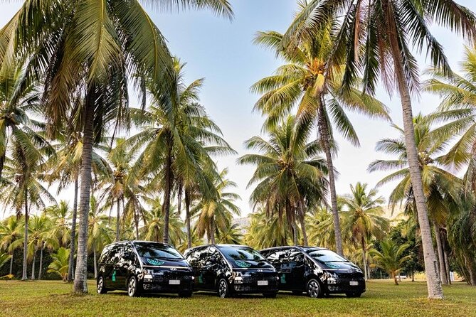 PRIVATE TRANSFER Cairns Airport <> Port Douglas Minibus (6am-5pm) - Return Day: The Transfer That Lets You Actually Leave Relaxed