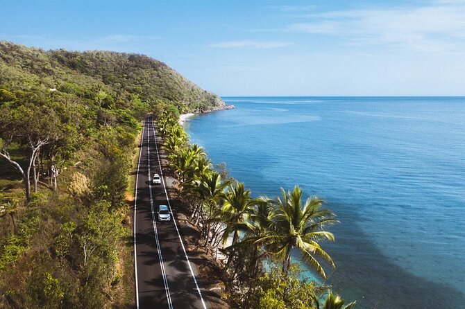 Private Transfer - Cairns Airport to/from Port Douglas - Who this transfer suits best (and who should consider alternatives)