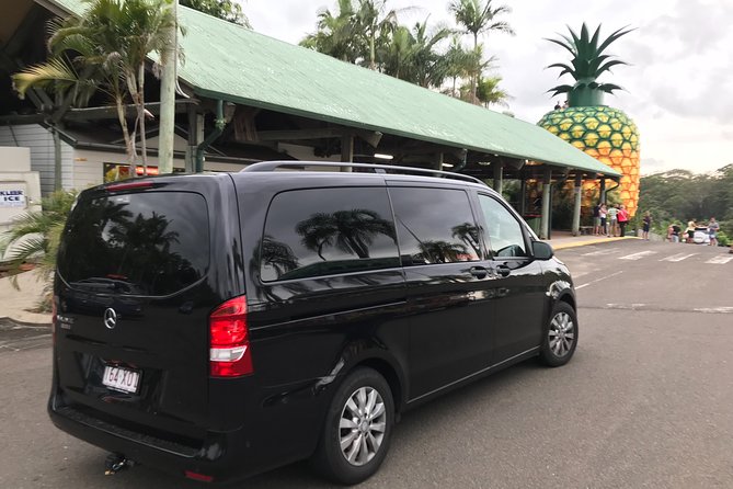 Private Transfer from Brisbane Airport to Noosa for 1 to 3 people - Who this transfer is best for (and who should double-check)
