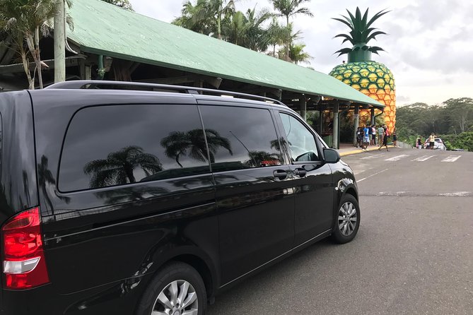 Private Transfer from Noosa to Sunshine Coast Airport up to 2 pax - Drop-off at Sunshine Coast Airport: where you’ll end up