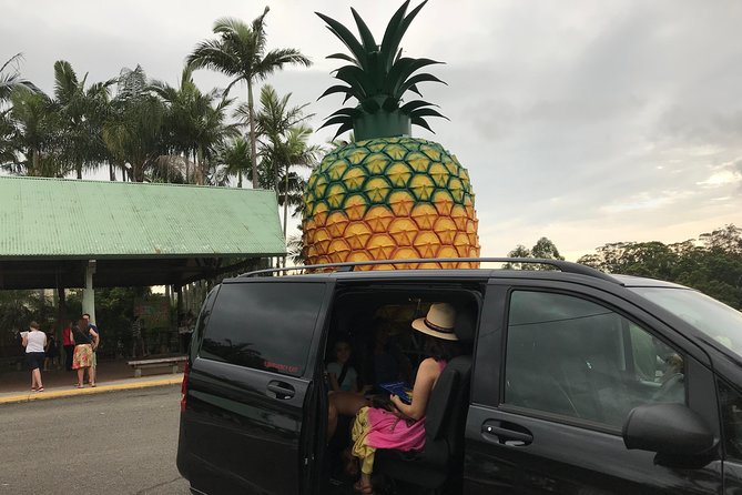 Private Transfer from Sunshine Coast Airport to Noosa up to 5 pax - Your Minivan Comfort: Seating, Windows, and Air-Con That Actually Helps