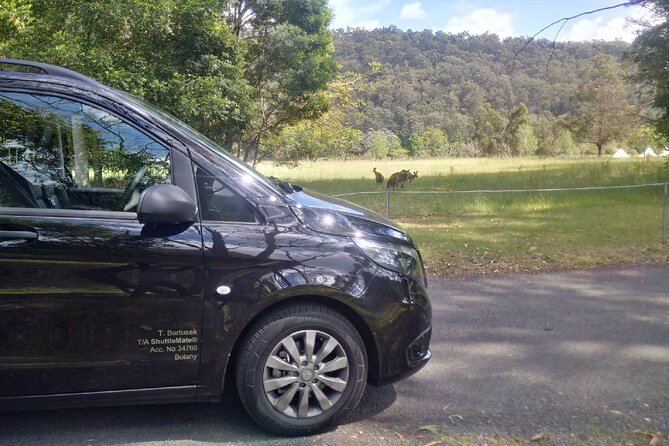 Private Transfer FROM Sydney CBD to Sydney Airport 1 to 5 people - Mobile Ticket and Driver Tracking: Fewer Decisions, Less Wandering