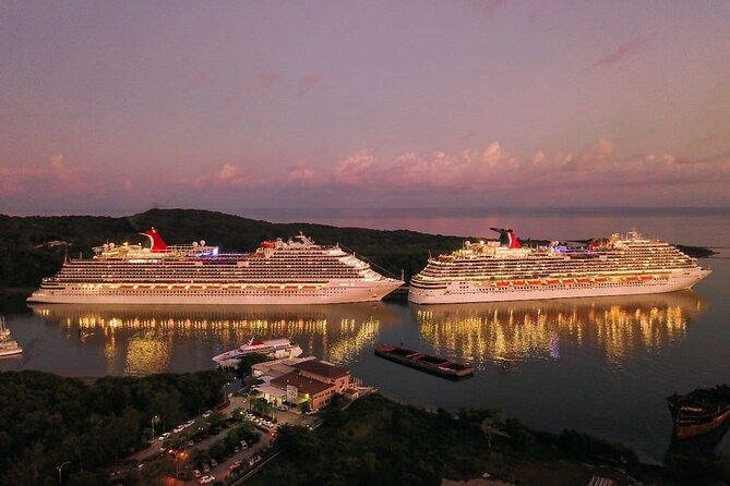 Private Transfer from Sydney Cruise Port to Sydney Airport (SYD) - Who should book this transfer
