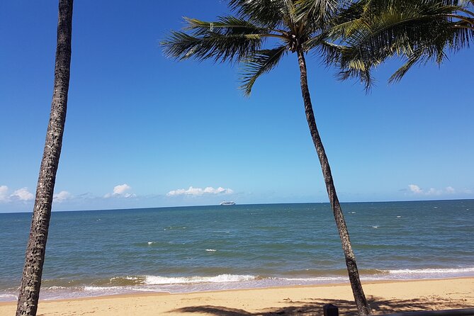 Private Transfers - Cairns Airport to Cairns City - When Your Driver Adds Something Extra
