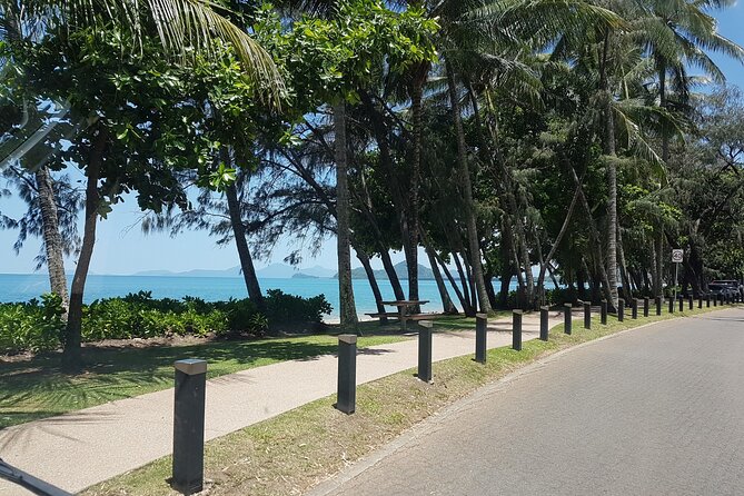 Private Transfers Cairns Airport to Port Douglas - Timing That Works: One Hour, All-Day Service, and a Simple End Point
