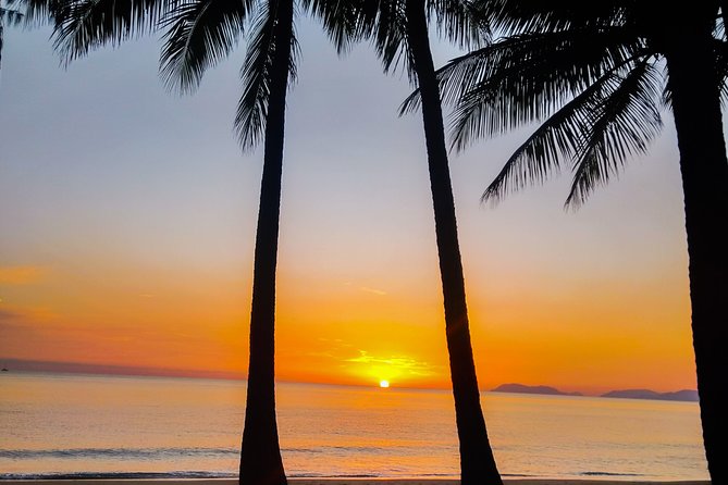 Private Transfers Cairns Airport to Port Douglas - Price and Value: $220.19 Per Group (Up to 3 People)