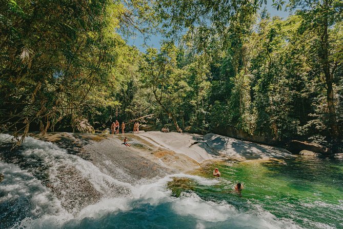 Private Waterfall and Rainforest Day Tour - Cathedral Fig Tree: where the cultural presentation sets the tone