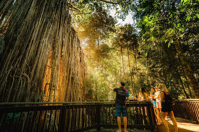 Private Waterfall and Rainforest Day Tour - Malanda lunch stop: a chance to reset before the falls
