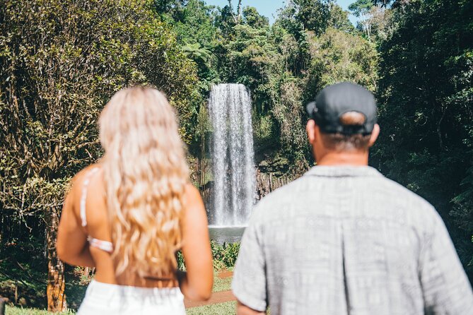 Private Waterfall and Rainforest Day Tour - Josephine Falls: the natural rock slide that turns a day into a story