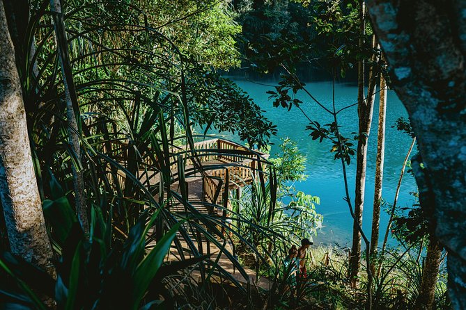 Private Waterfall and Rainforest Day Tour - The Atherton Tablelands circuit: a real 11-hour day with good rhythm
