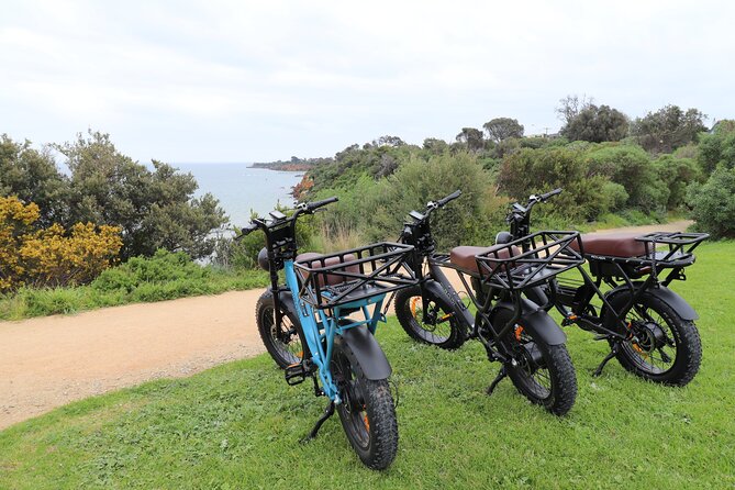 Private Wine Tasting Tour in Mornington Peninsula with Lunch - How to get the most from three tastings (and still feel good later)