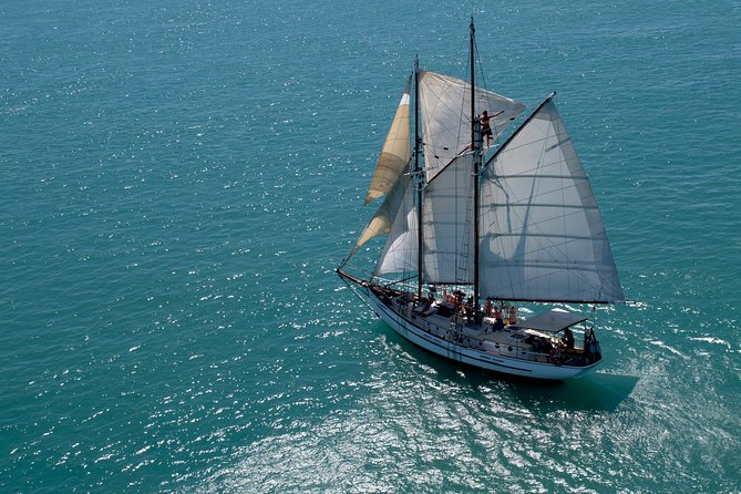 Providence Whitehaven Beach Sailing and Snorkeling Cruise - Getting to Coral Sea Marina North and timing your day