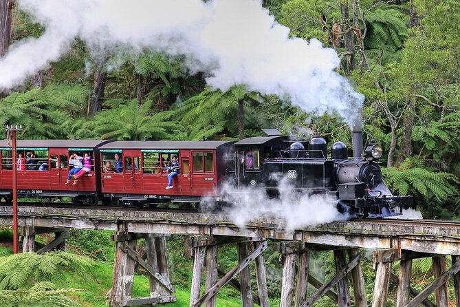 Puffing Billy And Healesville Sanctuary Scenic Tour - Key highlights you’ll feel on the day