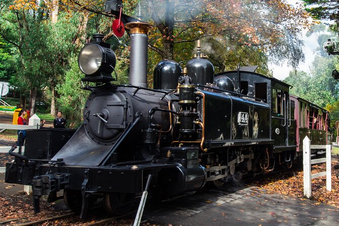 Puffing Billy And Healesville Sanctuary Scenic Tour - Starting and ending near Southern Cross at the Hotel Windsor