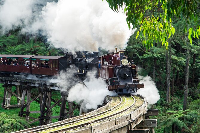 Puffing Billy And Phillip Island Penguin Parade Bus Tour - Puffing Billy + Penguins: why this bus tour is such an easy win