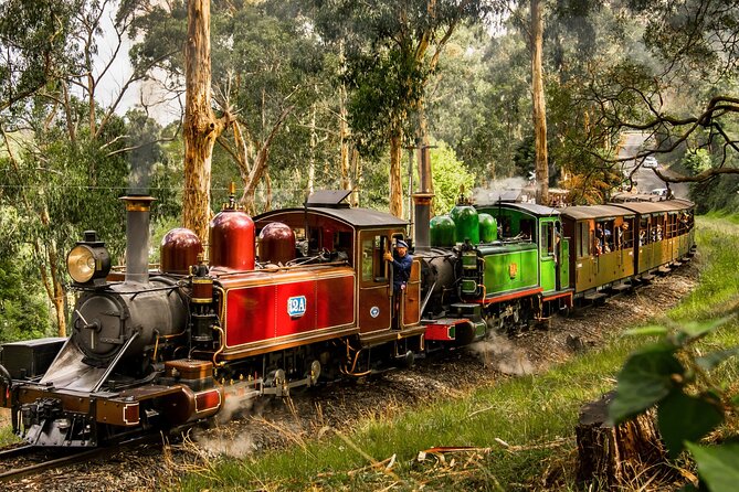 Puffing Billy, Forest Trails and Yarra Valley Discovery Tour - Key things to know before you go