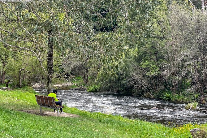 Puffing Billy, Forest Trails and Yarra Valley Discovery Tour - Price and Value: Where $149.90 Makes Sense