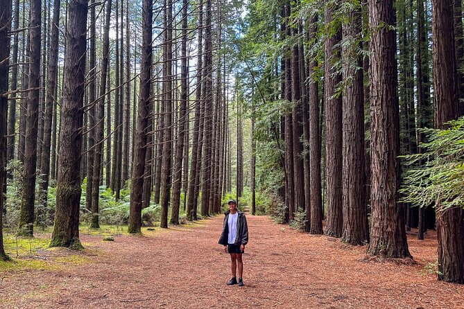 Puffing Billy, Forest Trails and Yarra Valley Discovery Tour - Logistics That Matter: Start Time, Duration, and What to Pack