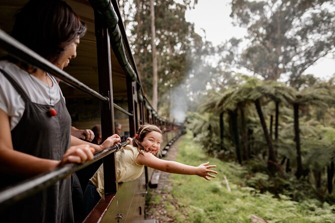 Puffing Billy, Forest Trails and Yarra Valley Discovery Tour - Redwoods Forest Walk to Cement Creek: Photos, Quiet, and Real Breathing Space