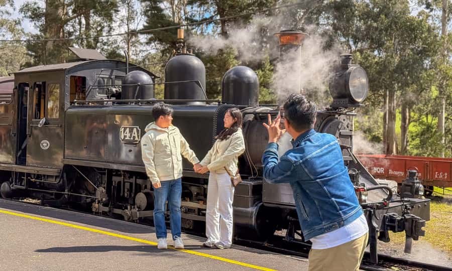 Puffing Billy, Forest Trails & Yarra Valley Discovery Tour - Quick hits to know before you go