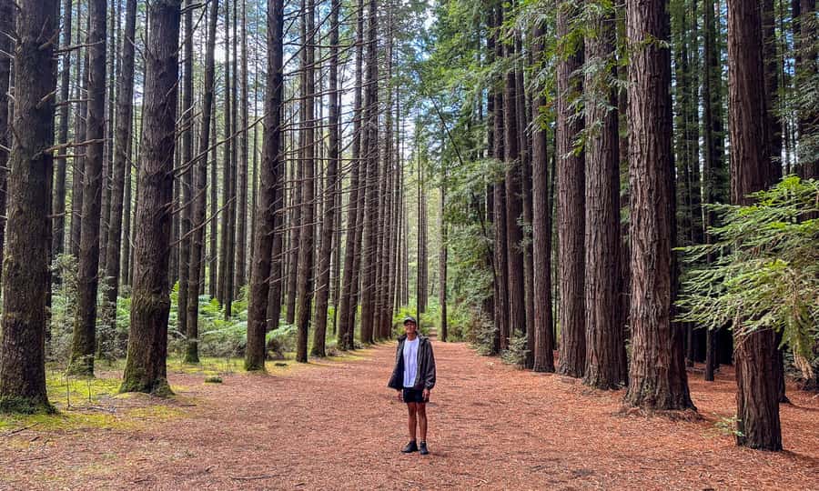 Puffing Billy, Forest Trails & Yarra Valley Discovery Tour - Yarra Valley dessert and wine tasting at Killara Estate