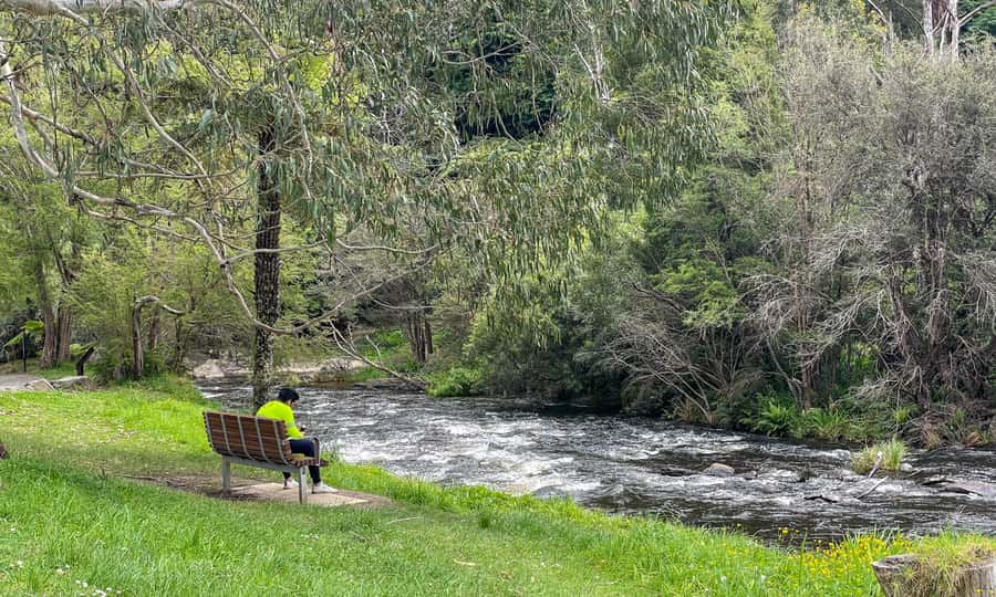 Puffing Billy, Forest Trails & Yarra Valley Discovery Tour - Should you book this Puffing Billy, Forest Trails & Yarra Valley Discovery Tour?
