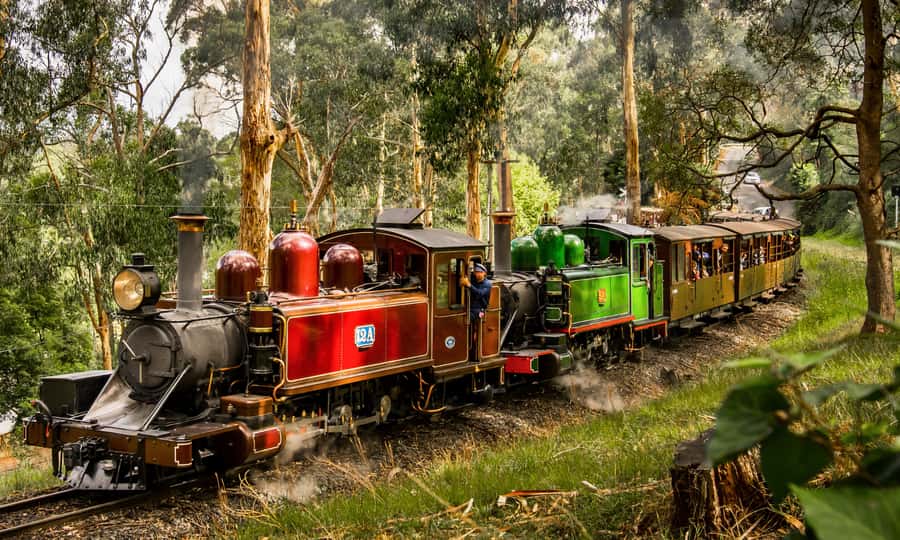 Puffing Billy, Forest Trails & Yarra Valley Discovery Tour - Puffing Billy on the Belgrave–Menzies Creek line and the Monbulk trestle moment
