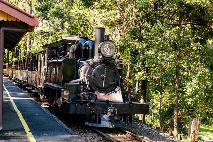 Puffing Billy, Healesville Sanctuary & Chocolatier - Puffing Billy: the steam train part that people actually remember