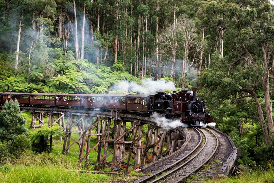 Puffing Billy, Healesville Sanctuary & Chocolatier - Yarra Valley Chocolaterie: the 12-chocolate tasting that ends the day on a high note