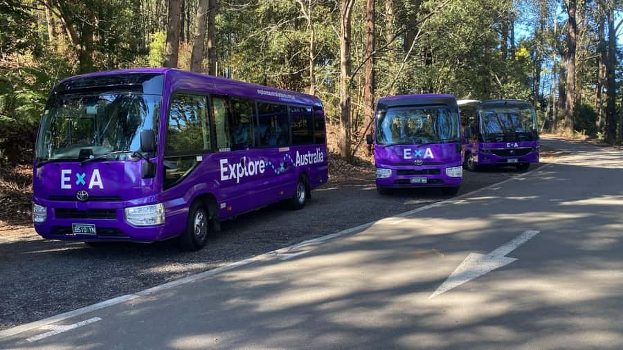 Puffing Billy, Healesville Sanctuary & Chocolatier - Who this day trip suits best (and who might want a different plan)