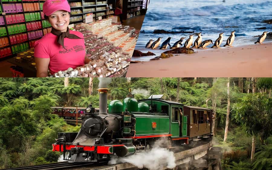 Puffing Billy Penguin Parade Winery Chocolaterie All-in-One - Key highlights to know before you go