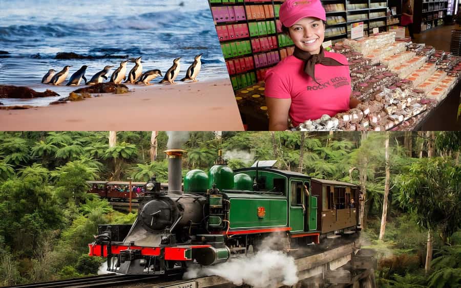 Puffing Billy Penguin Parade Winery Chocolaterie All-in-One - Yarra Valley Chocolaterie & Ice Creamery: Your Sweet Start