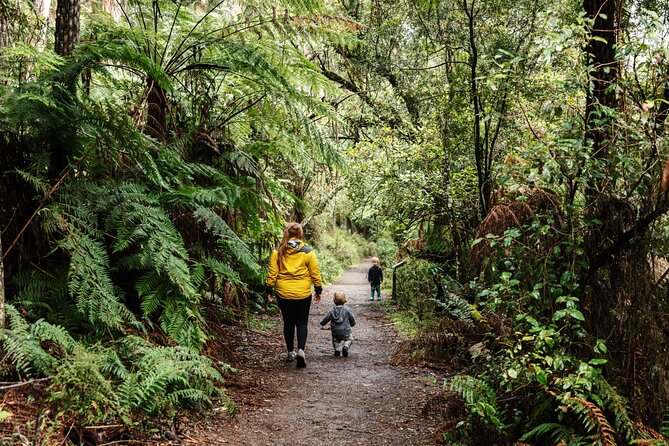 Puffing Billy & Rainforest Tour from Melbourne - Why Puffing Billy Works So Well as a Half-Day Trip