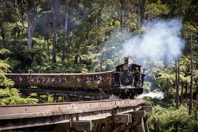 Puffing Billy & Rainforest Tour from Melbourne - Stop 3: The One-Hour Puffing Billy Ride Through Tall Trees