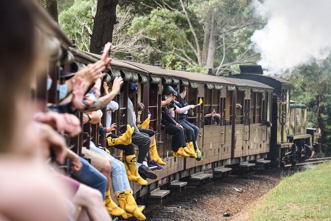 Puffing Billy Steam Train and Penguins Wildlife Tour - Key Highlights to Know Before You Go